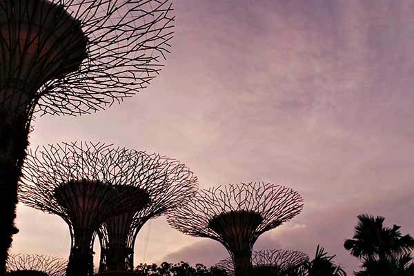 Super Trees at Singapore Garden by the Bay