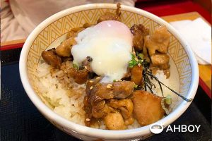 Sukiya - Half Boiled Egg Yakitori Bowl Close-up