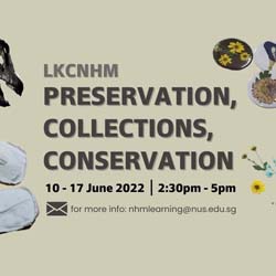 LKCNHM Preservation, Collections, Conservation 2022