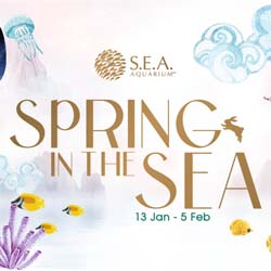 S.E.A Aquarium Spring in the Sea 2023