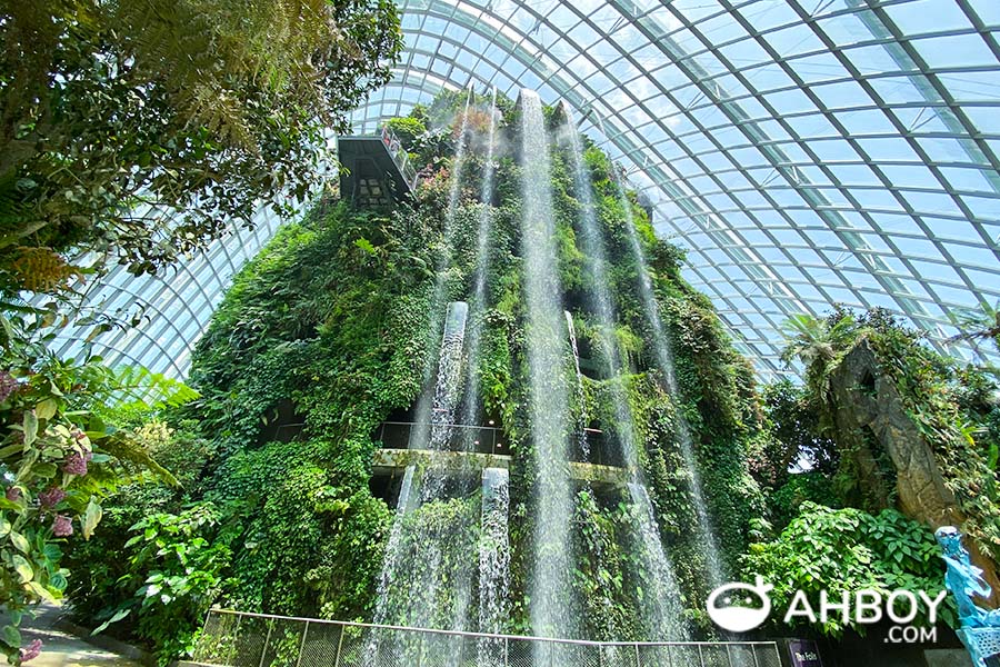 Places to visit in Singapore - Gardens by the Bay - Cloud Forest - Home to one of the world's tallest indoor waterfalls, surrounded by lush greenery