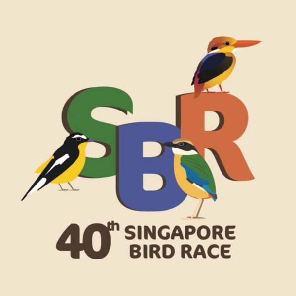 2024 Singapore Bird Race - 40th Singapore Bird Race