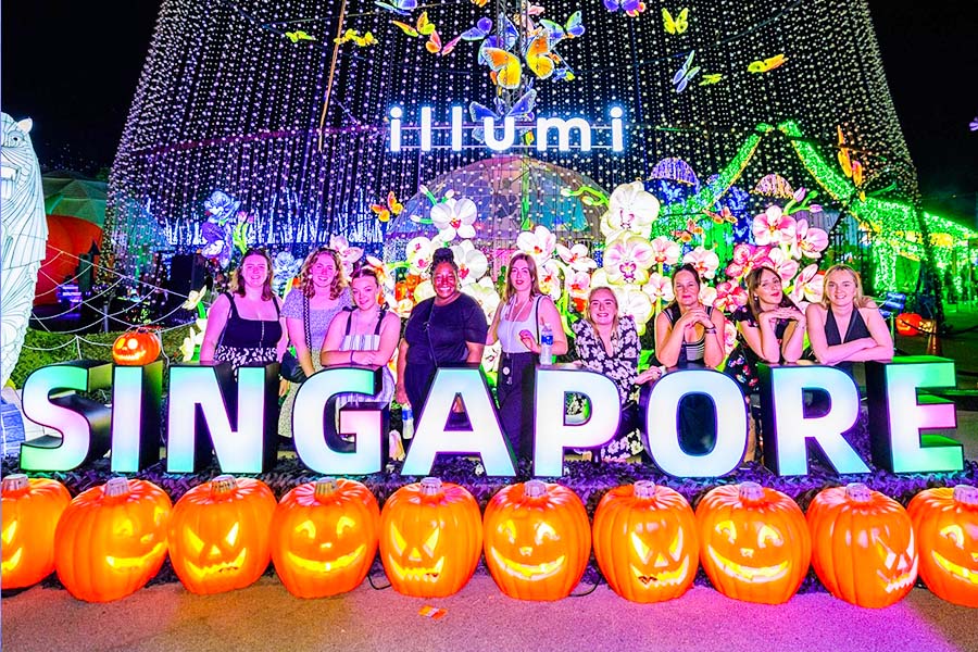 Illumi Light Show Singapore - Light installations change with the seasons